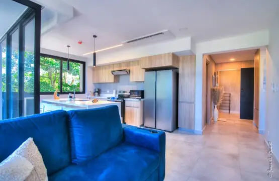 1ea1553c b50e 4875 af6d 1595682710b0