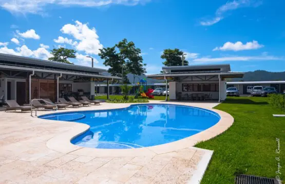 4298db3a 9ef1 484d a1b9 5f97081c6d73